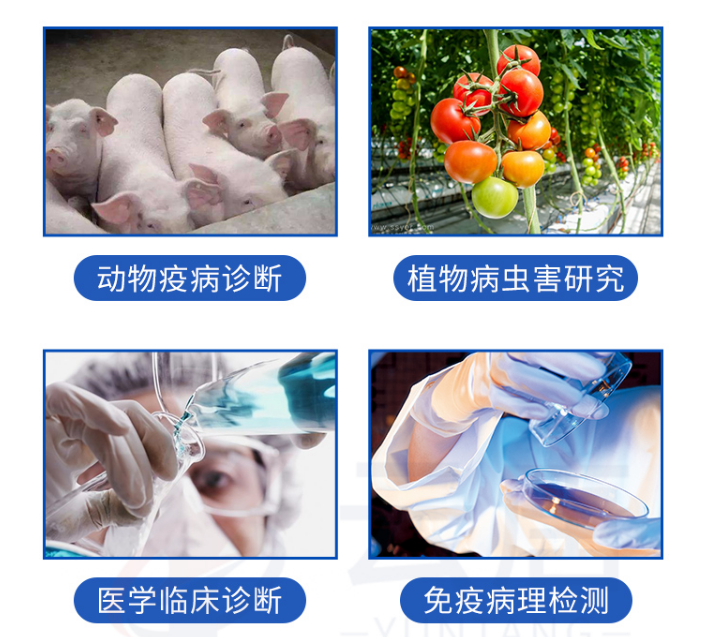 動(dòng)物疫病檢測(cè)儀