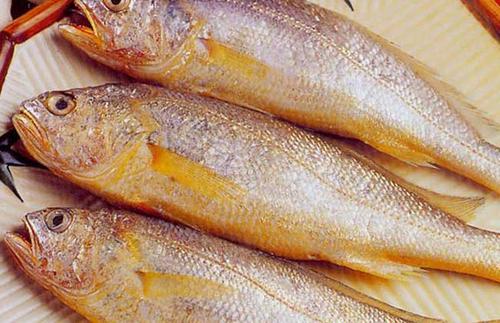 黃花魚(yú)中獸藥殘留超標(biāo)怎么看？