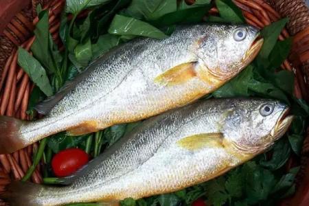 黑魚(yú)中檢測(cè)出孔雀石綠超標(biāo)，黃魚(yú)中檢測(cè)出氧氟沙星超標(biāo)