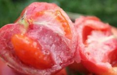 為何建議超市配備食品安全檢測(cè)儀？